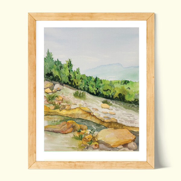 original watercolor painting of a hiking path in the pocono mountains