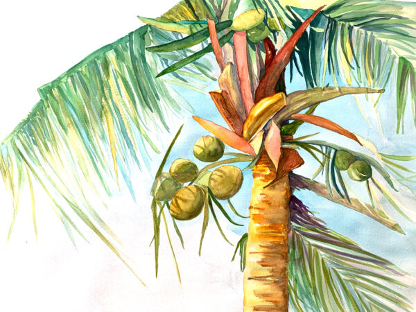 Let's Go Coconuts, 32"x24" - Image 3